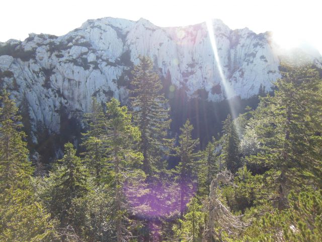 Velebit,   avgust - foto