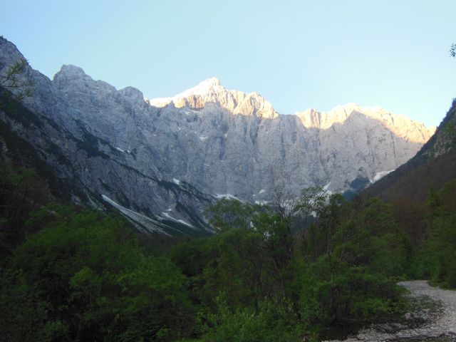 Bavški gamsovec 24.6.2016 - foto