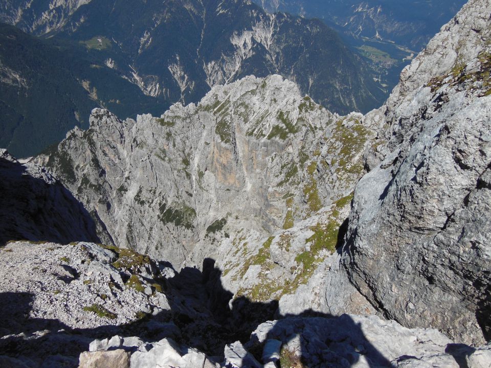 S.v.   deber-viš   27.8.2016 - foto povečava