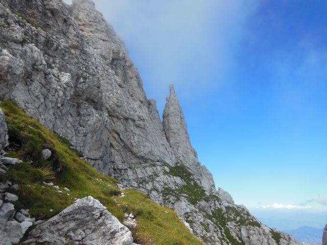 S.v.   deber-viš   27.8.2016 - foto