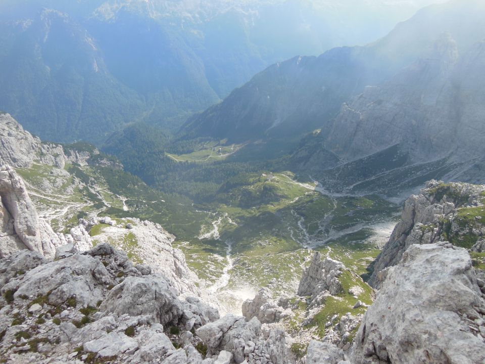 S.v.   deber-viš   27.8.2016 - foto povečava