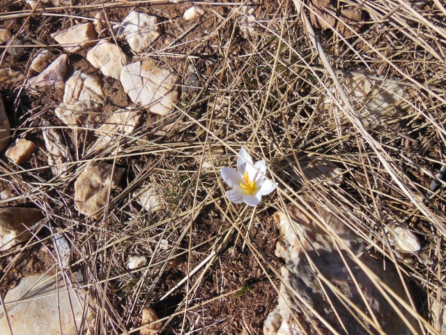 Baška  - februar 2017 - foto