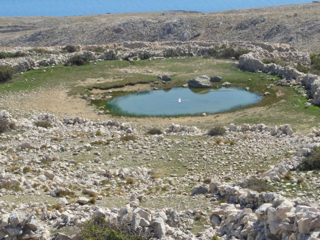 Otok krk -   marec   - foto