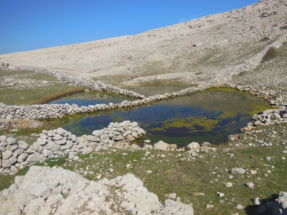 Otok krk -   marec   - foto povečava