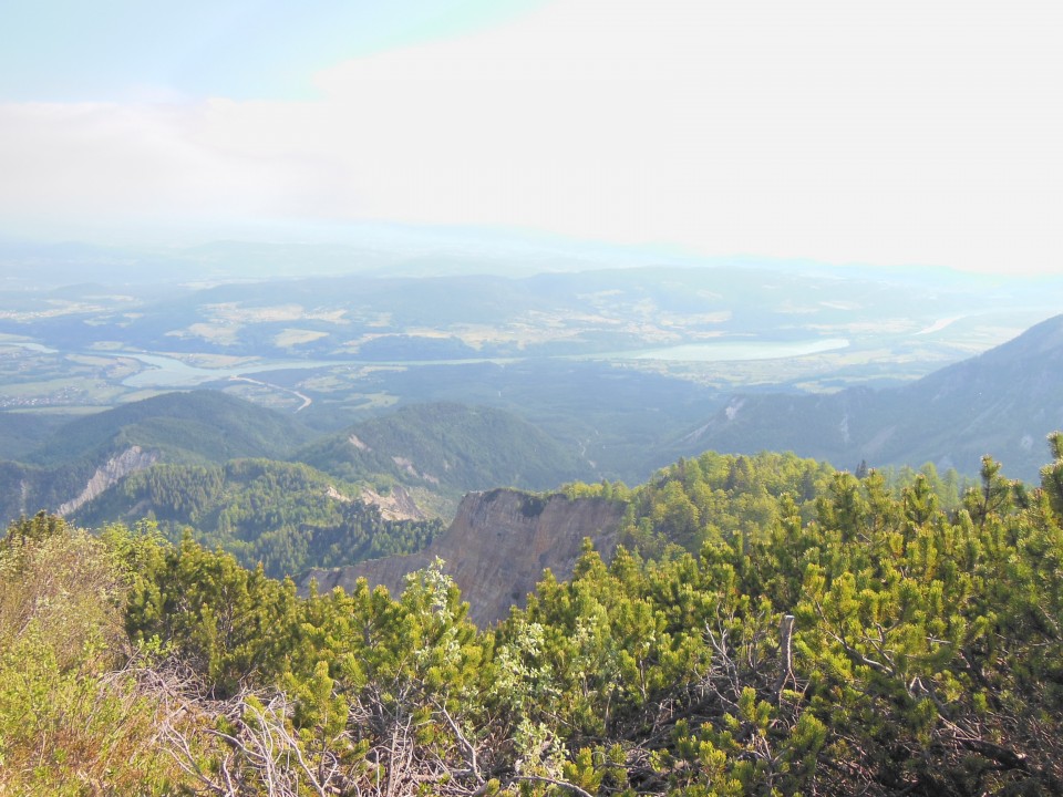 Golica     28.5.2017 - foto povečava