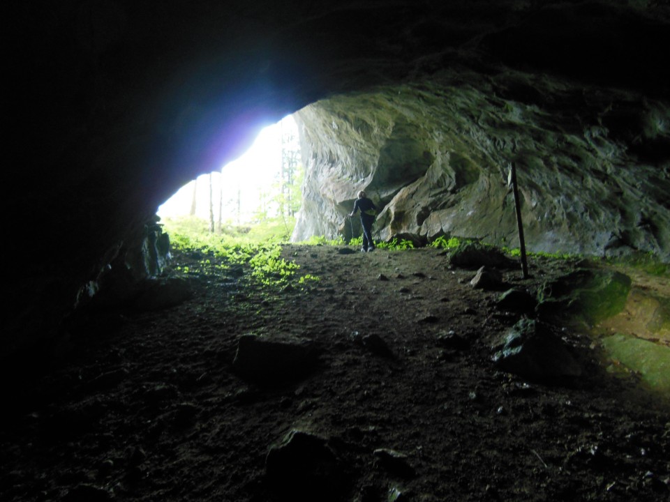 Erjavčeva jama  4.6.2017 - foto povečava