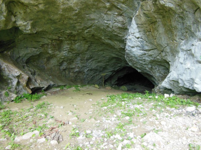 Erjavčeva jama  4.6.2017 - foto