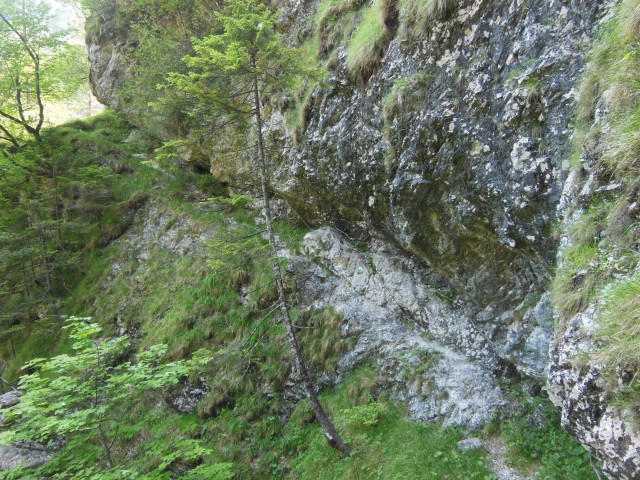 Erjavčeva jama  4.6.2017 - foto