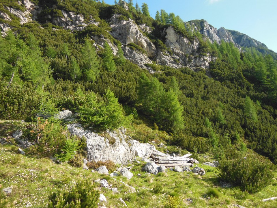 Krnička gora - matkova kopa 11.6.2017 - foto povečava
