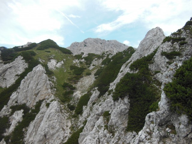 Hudi prask - mrzla gora  23.6.2017 - foto