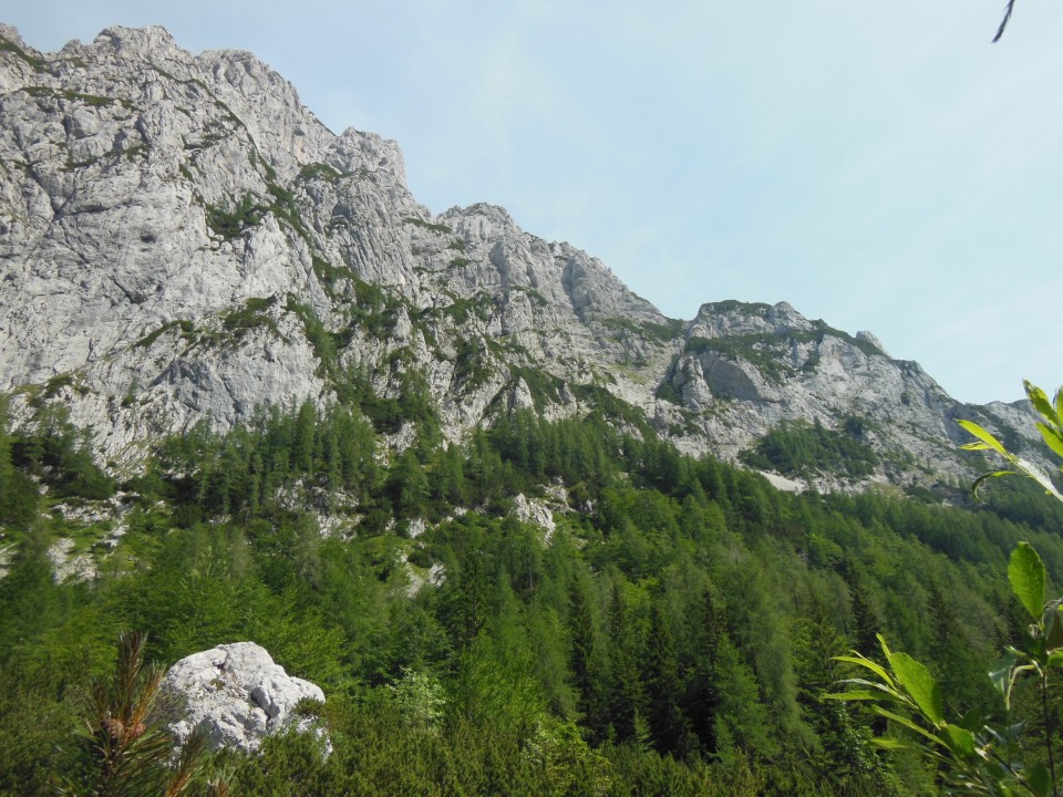 Hudi prask - mrzla gora  23.6.2017 - foto povečava