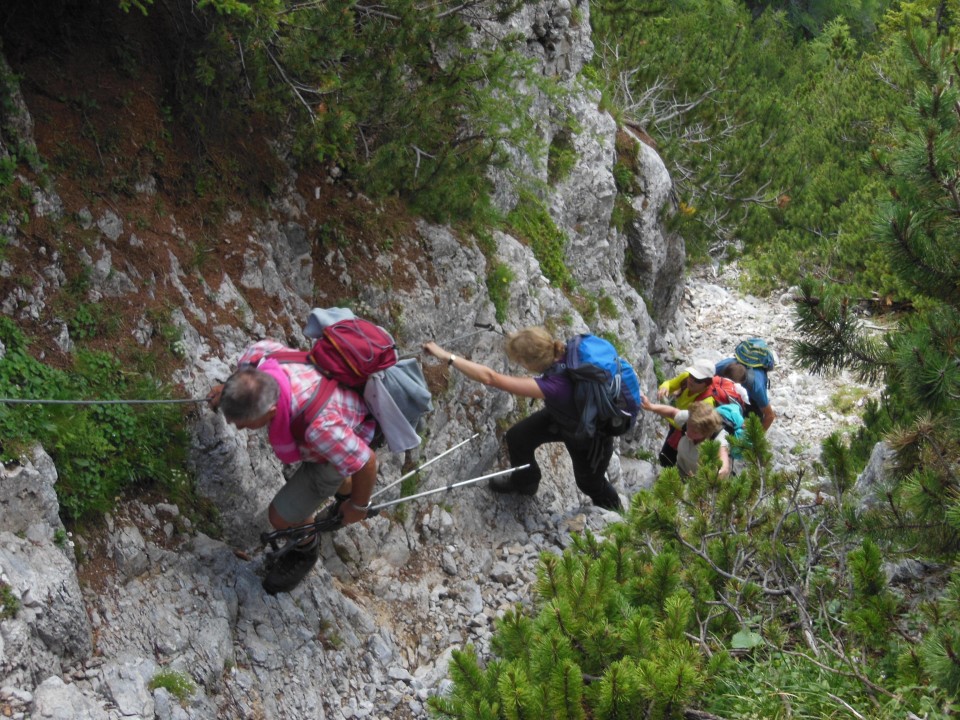 Peca  4.7.2017 - foto povečava