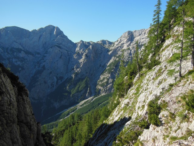 črni hriber-ute-krofička-ojstrica  6.7.2017 - foto