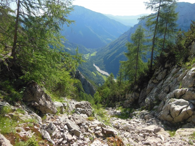 črni hriber-ute-krofička-ojstrica  6.7.2017 - foto