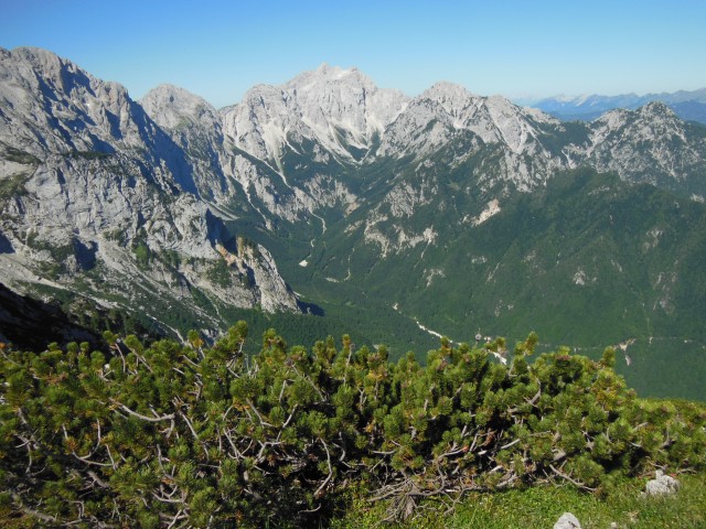 črni hriber-ute-krofička-ojstrica  6.7.2017 - foto