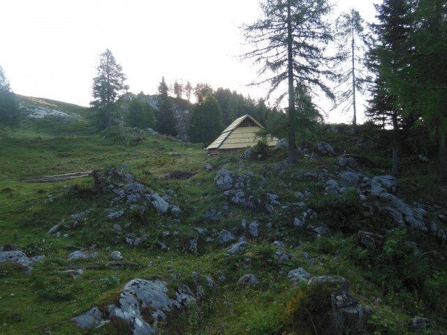 škednjovec-v. hribaric-vršaki-vogli 1.8.2017 - foto