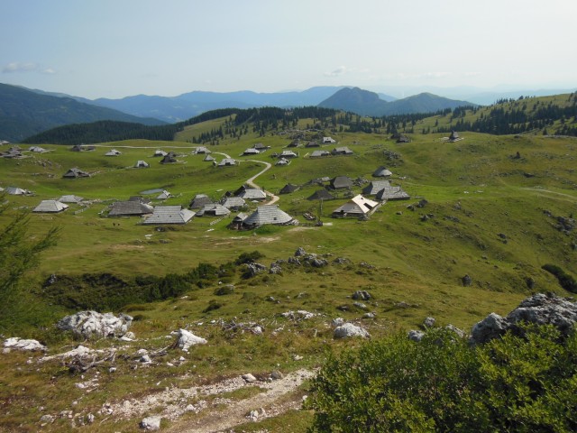 Velika planina 22.8.2017 - foto