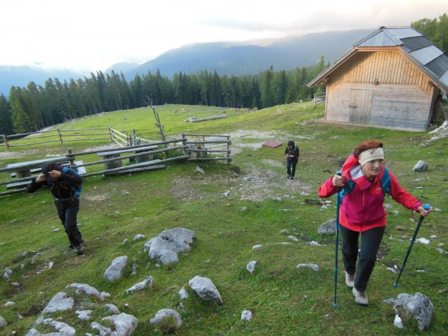 Veliki vrh - foto