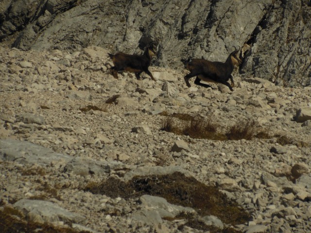 Skuta - grintovec 31.10.2017 - foto