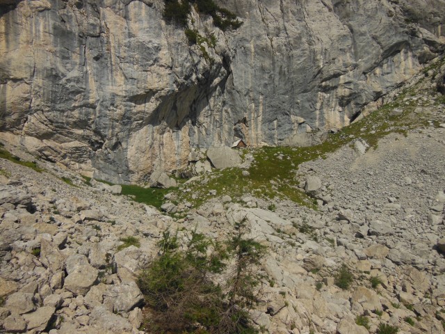 Črni hribek - Ute 4.8.2018 - foto