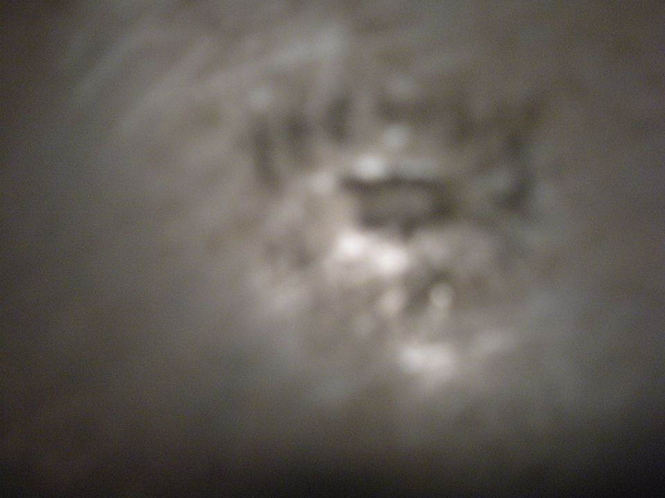 Plesen - foto povečava