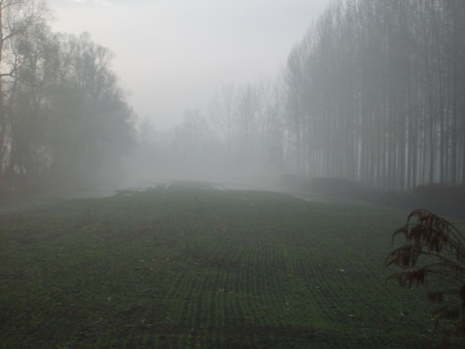 Barje - foto povečava