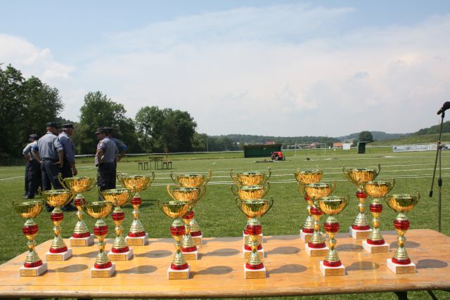 Spomladanski pregled PGD OP Ptuj - foto