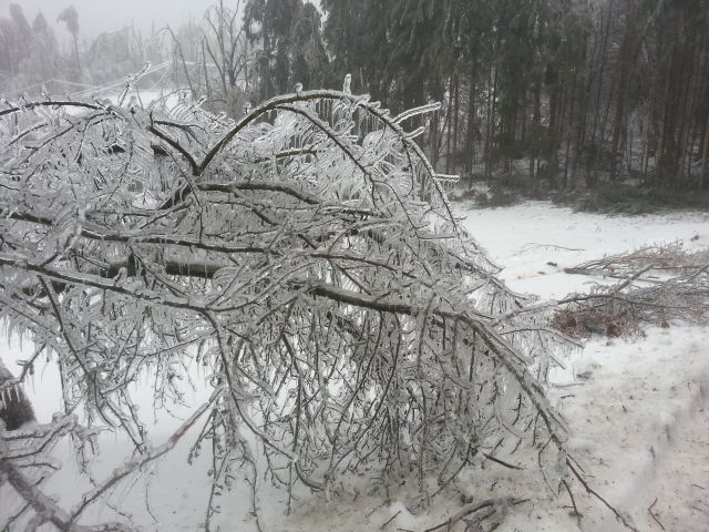 Pomoč ob naravni nesreči v Postojni - foto