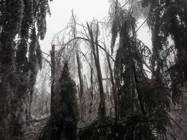 Pomoč ob naravni nesreči v Postojni - foto