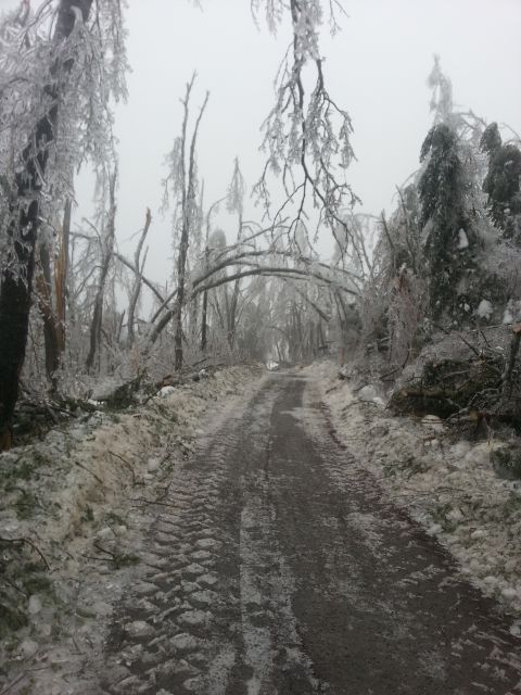 Pomoč ob naravni nesreči v Postojni - foto