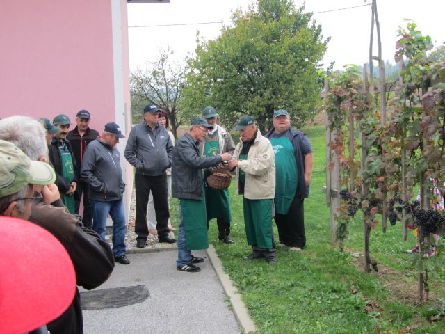 Dan odprtih vrat 2015 - foto