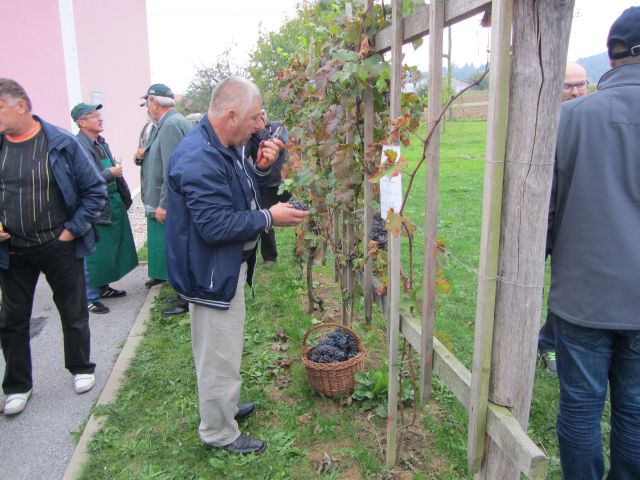 Dan odprtih vrat 2015 - foto