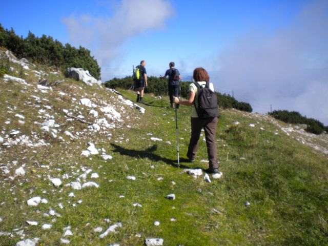 PLANINA_KOREN - foto