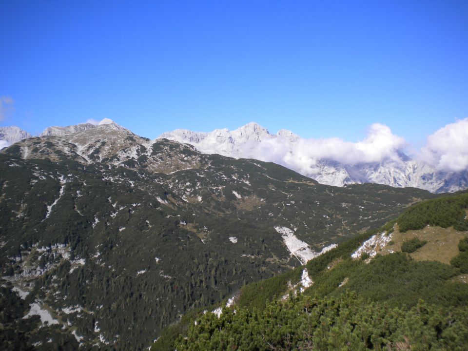 PLANINA_KOREN - foto povečava