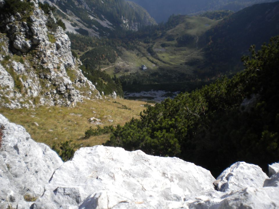 PLANINA_KOREN - foto povečava