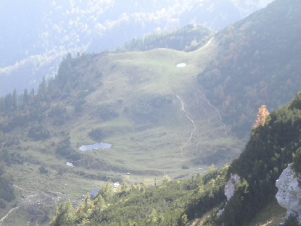 PLANINA_KOREN - foto povečava