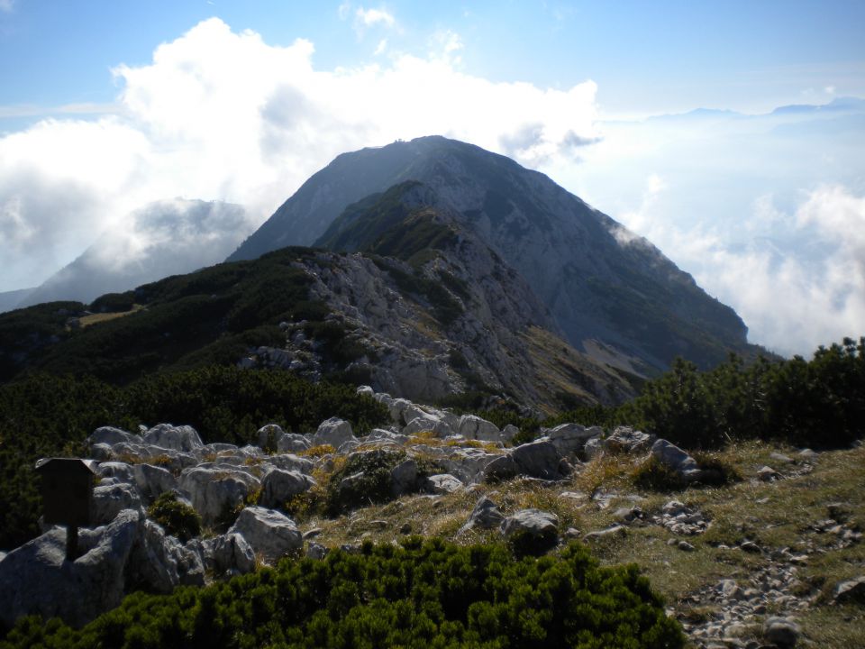 PLANINA_KOREN - foto povečava