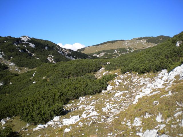 PLANINA_KOREN - foto