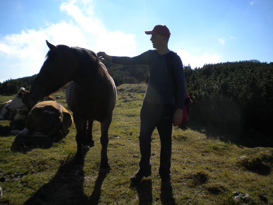 PLANINA_KOREN - foto povečava