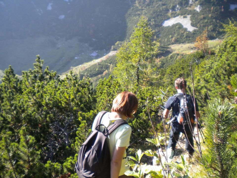 PLANINA_KOREN - foto povečava