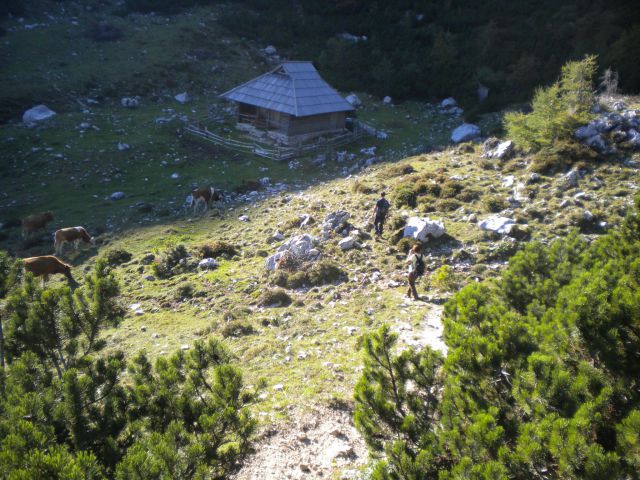 PLANINA_KOREN - foto