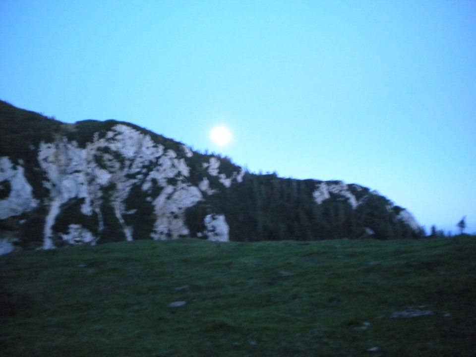 PLANINA_KOREN - foto povečava