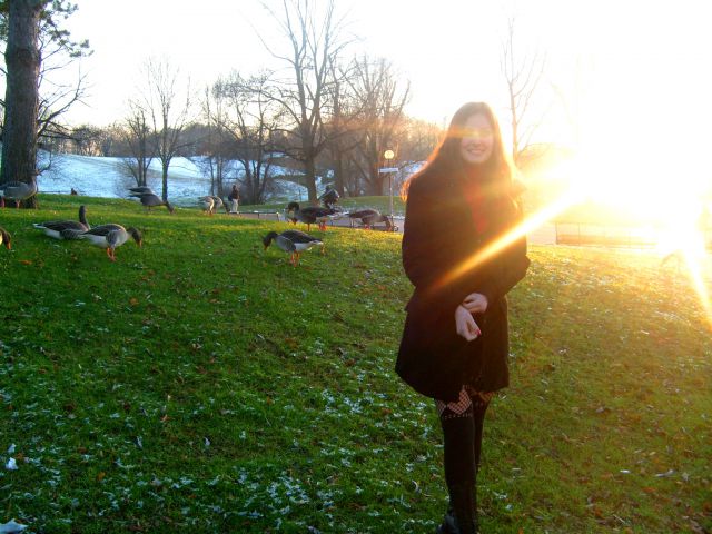 26.11.2008 Alice Cooper, Whitesnake @ Munchen - foto