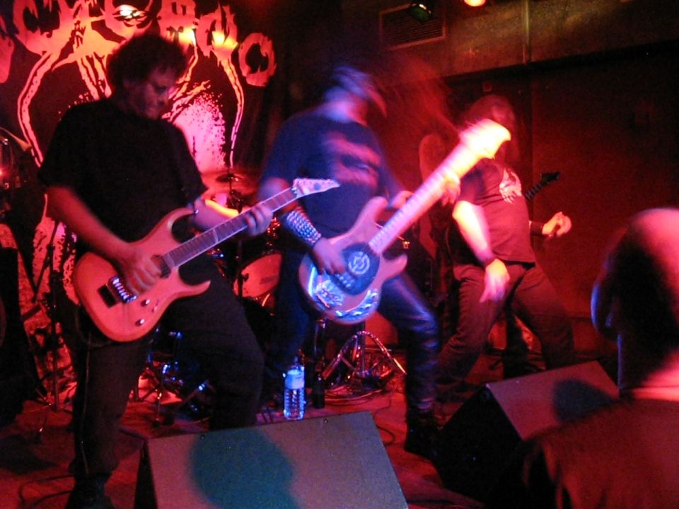 8.11. VULCANO @ orto - foto povečava
