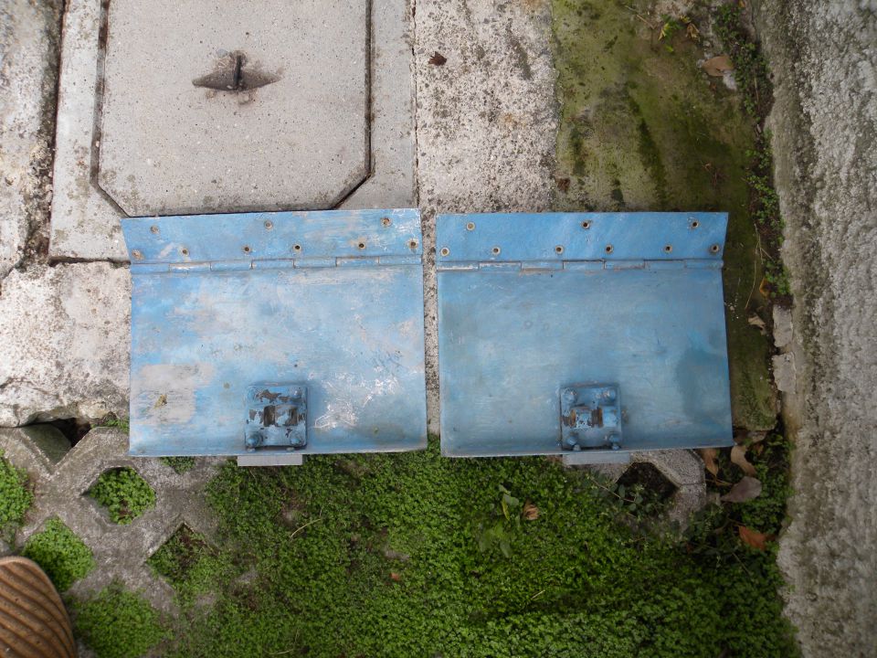 Flapi - foto povečava