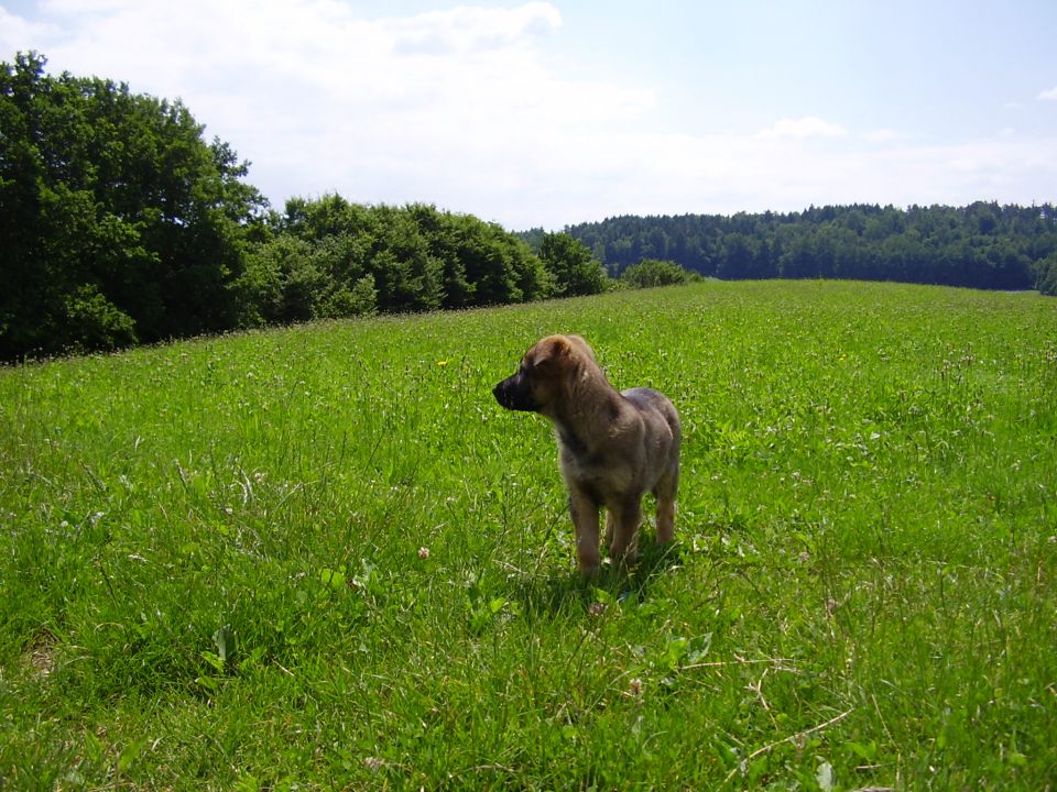 24.6.2010 - foto povečava