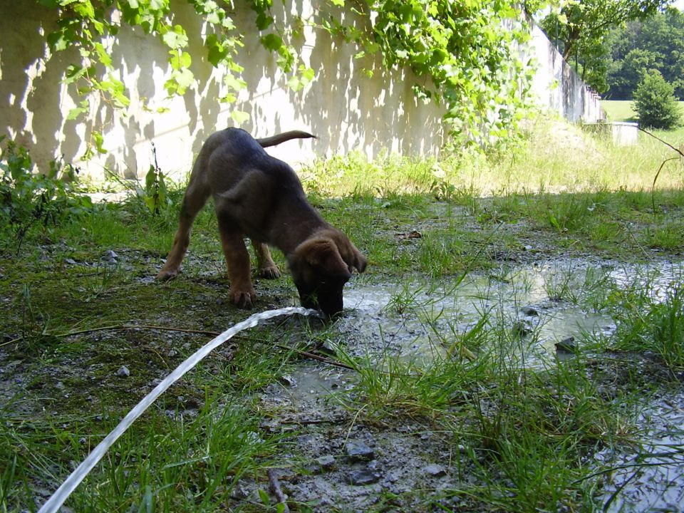 30.6.2010 - foto povečava