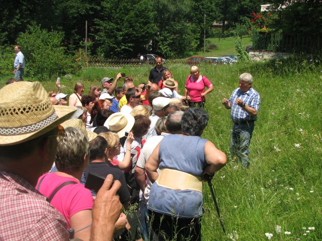 Dan odprtih vrat Kmetije Plavica 2013 - foto