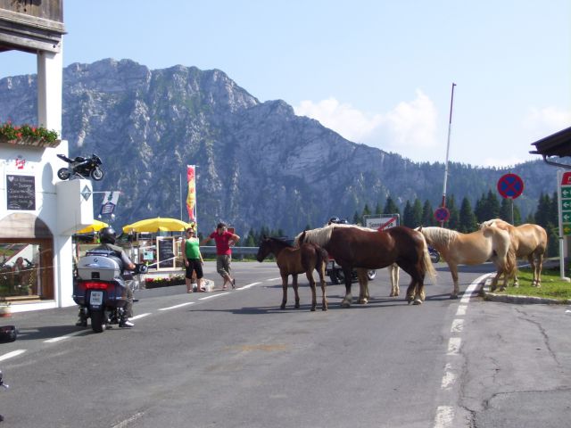 DOLOMITI 2010 - foto