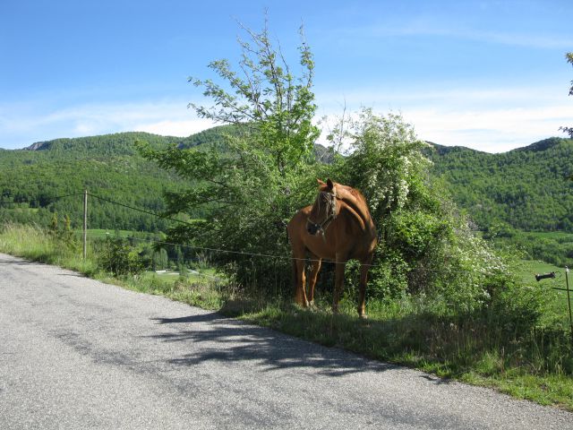 OD CELJA DO ATLANTIKA - FRANCIJA 2 - foto